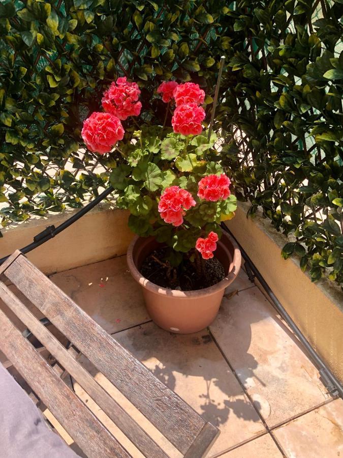 Mon Appart Avec Terrasse Et Piscine Roquebrune-Cap-Martin Exterior photo